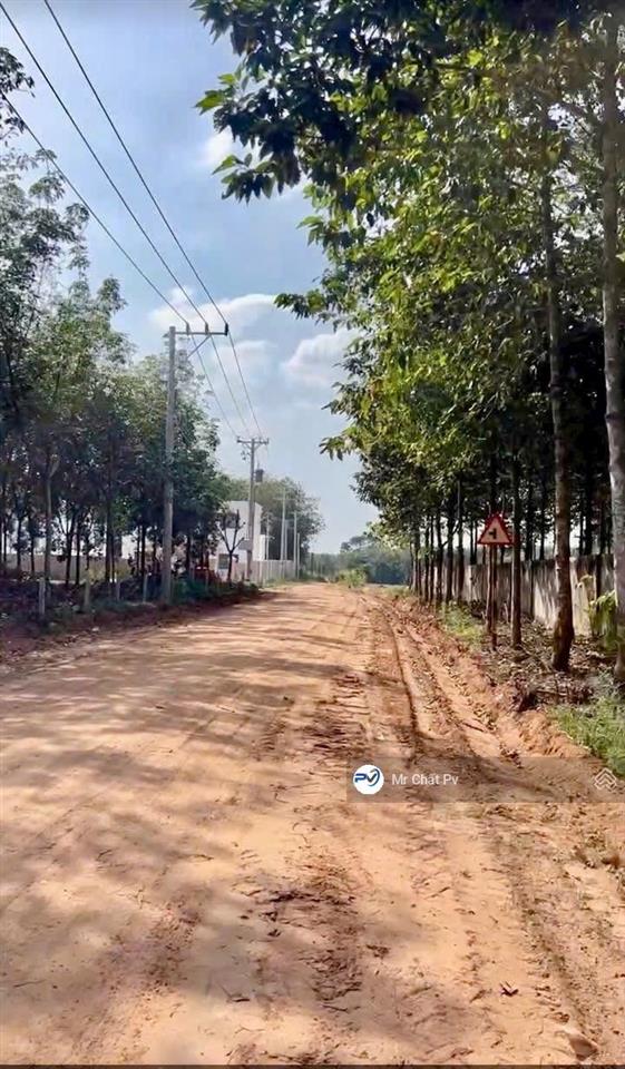 Bán hoặc cho thuê 19.337m² ( xưởng 11.284m²) giá bán 95 tỷ