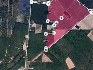 Bán đất 36.5ha đất gần hồ dầu tiếng  đang cho thuê trồng dược liệu 700tr/năm