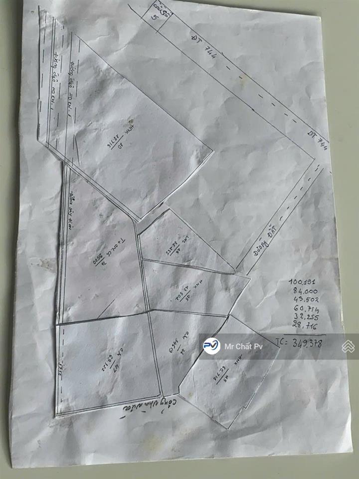 Bán đất 36.5ha đất gần hồ dầu tiếng  đang cho thuê trồng dược liệu 700tr/năm