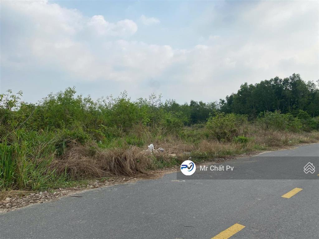 Bán lô đất 5099m² (85m mặt tiền đường nhựa) giá chỉ 18 tỷ 300 triệu