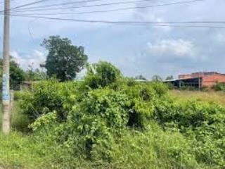 Bán đất chính chủ tại ấp xóm mía, xã phước trạch, huyện gò dầu, tây ninh  079221656