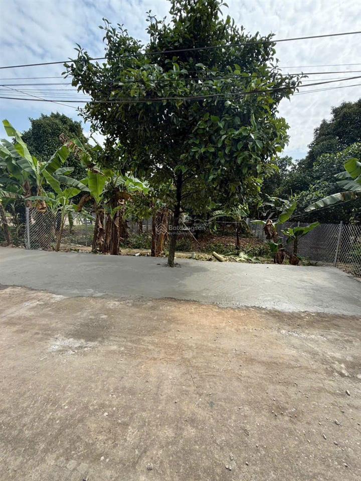 Bán gấp đất mặt tiền bình nhâm 30, lái thiêu, tp.hcm 432m2 đất vườn...