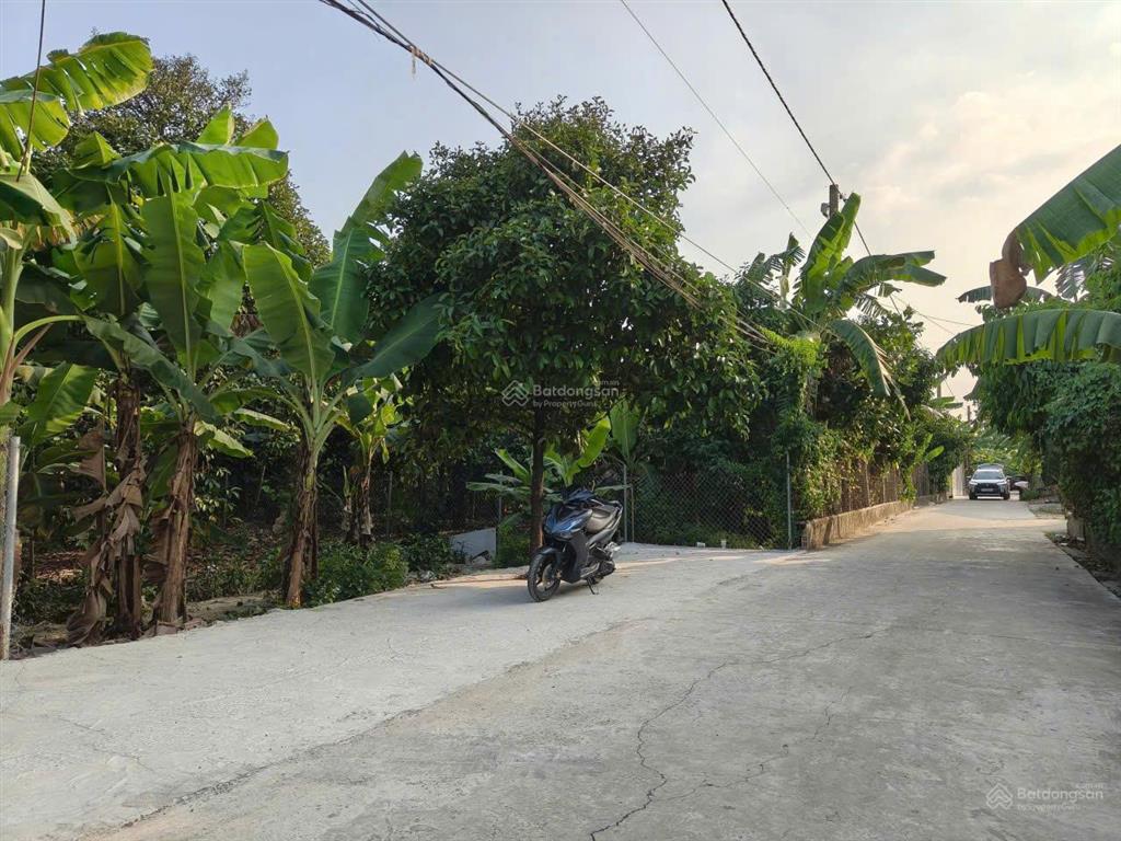 Bán gấp đất mt bình nhâm 30, 432m², giá chỉ 7,5 tỷ
