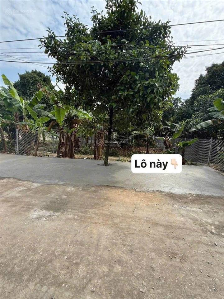 Bán gấp đất mt bình nhâm 30, 432m², giá chỉ 7,5 tỷ