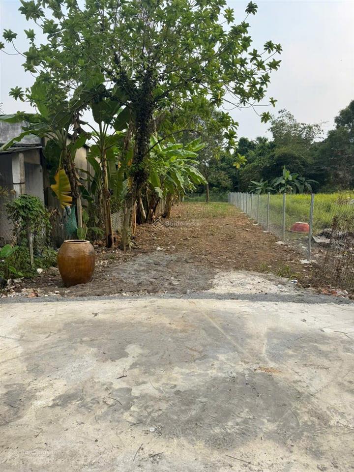 Bán đất lái thiêu 70, lái thiêu 354m², ngang 6m, nở hậu 7,5m, giá 4,7 tỷ