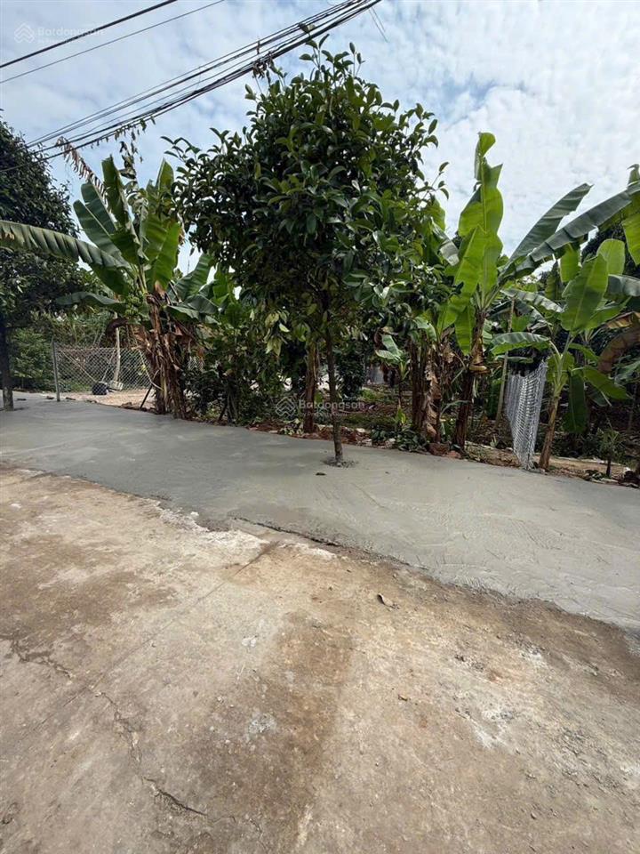 Chính chủ bán đất mặt tiền bình nhâm 30, lái thiêu gần nguyễn chí thanh 432m2