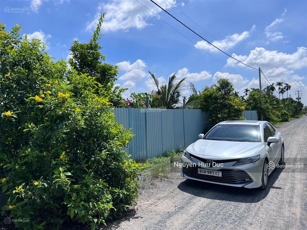 Bán đất 36.74 x 90m (cây hàng năm khác) xã bình mỹ, huyện củ chi, tphcm