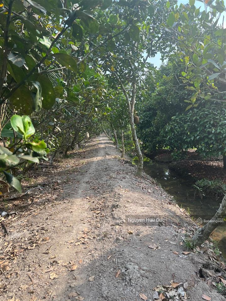 Bán đất mặt tiền sông sài gòn (7 hecta) 70.000m2. xã trung an, huyện củ chi, tphcm