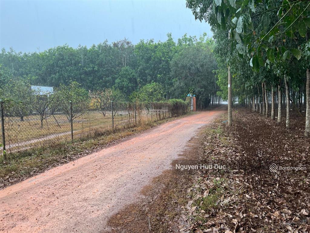 Bán đất mặt tiền đường tân định 78 (32727m2) đuôi giáp sông xã tân định, bắc tân uyên, bd 55 tỷ