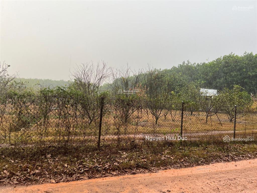 Bán đất mặt tiền đường tân định 78 (32727m2) đuôi giáp sông xã tân định, bắc tân uyên, bd 55 tỷ