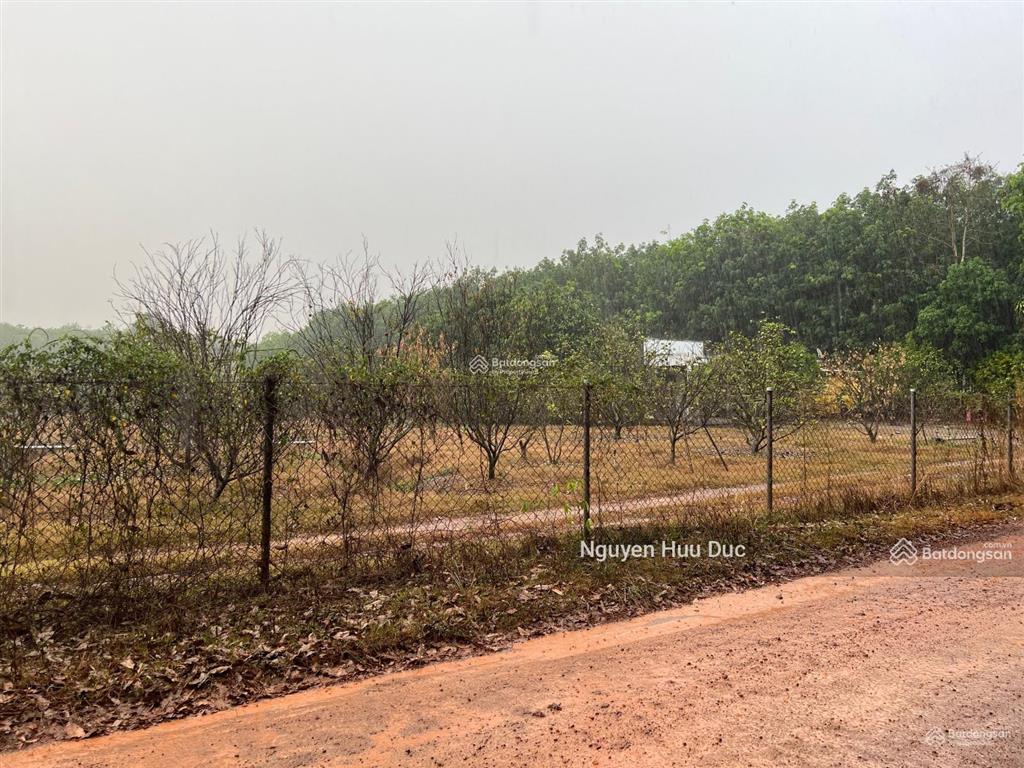 Bán đất mặt tiền đường tân định 78 (32727m2) đuôi giáp sông xã tân định, bắc tân uyên, bd 55 tỷ