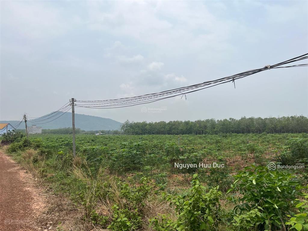 Bán đất mặt tiền nhựa và mặt hồ dầu tiếng (4ha) 100m2 thổ, xã định an, h dầu tiếng, bình dương