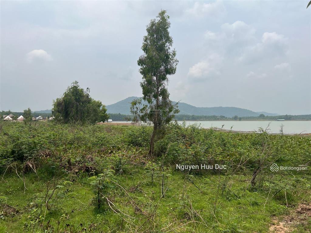 Bán đất mặt tiền nhựa và mặt hồ dầu tiếng (4ha) 100m2 thổ, xã định an, h dầu tiếng, bình dương
