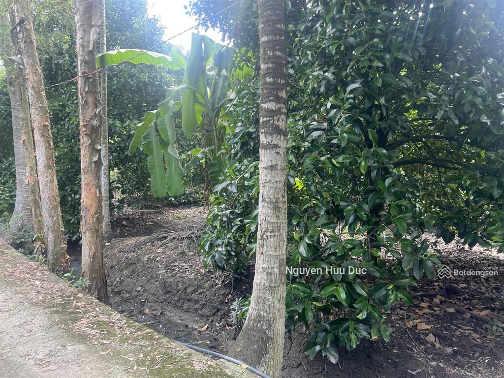 Bán đất mặt tiền đường betong 3m, 40 x 58m 240m2 thổ cư. p phú thọ tp tdm bình dương, 8,5 triệu/m2