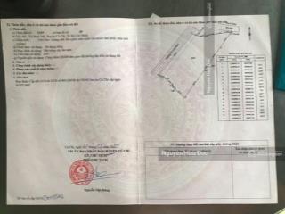 Bán đất 2 mặt tiền đường võ văn bích, xã bình mỹ, h củ chi, tphcm (10135m2) cây lâu năm 70 tỷ