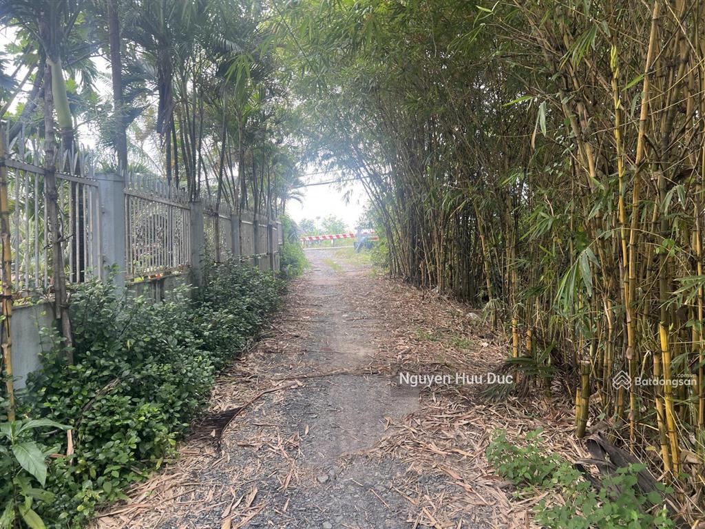 Bán đất 2 mặt tiền đường võ văn bích, xã bình mỹ, h củ chi, tphcm (10135m2) cây lâu năm 70 tỷ
