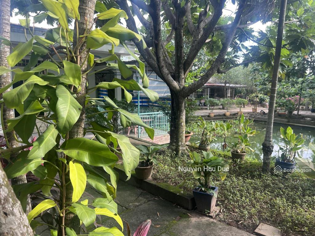 Bán đất 2 mặt tiền đường võ văn bích, xã bình mỹ, h củ chi, tphcm (10135m2) cây lâu năm 70 tỷ