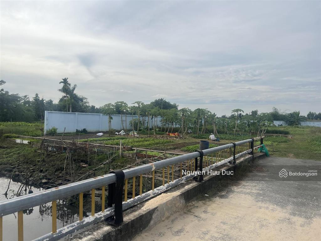 Bán đất mặt tiền võ văn bích 5.000m2 (3.995 skc) xã bình mỹ, h củ chi, tphcm 34 tỷ đồng