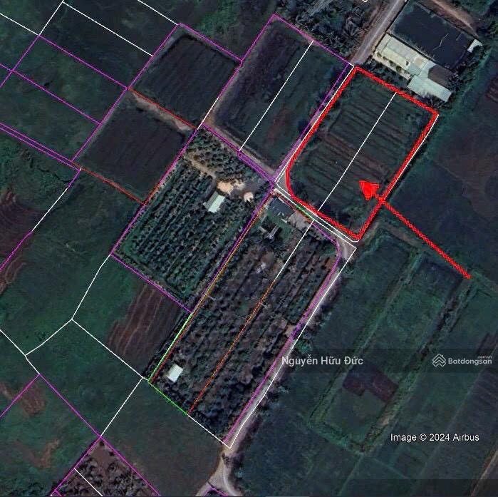 Bán đất siêu đẹp 72 x 41m (cây hàng năm khác) xã trung an, huyện củ chi, tphcm (6 tỷ)