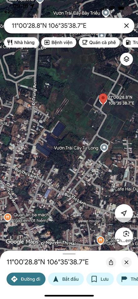 Bán đất siêu đẹp 72 x 41m (cây hàng năm khác) xã trung an, huyện củ chi, tphcm (6 tỷ)