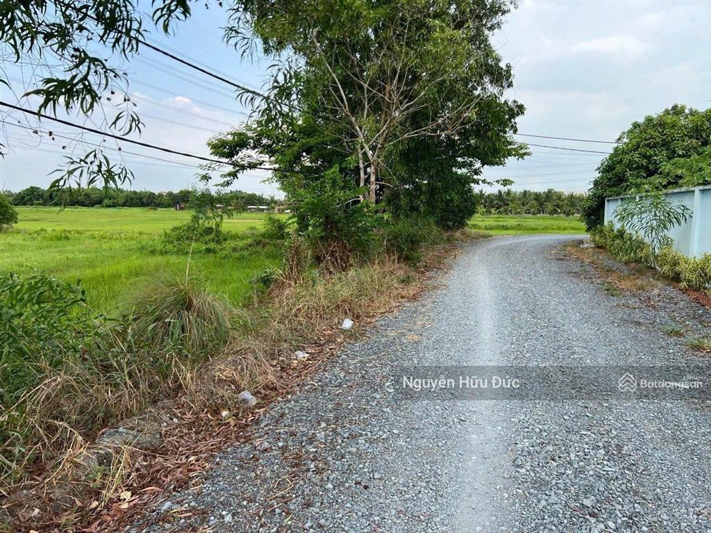 Bán đất siêu đẹp 72 x 41m (cây hàng năm khác) xã trung an, huyện củ chi, tphcm (6 tỷ)