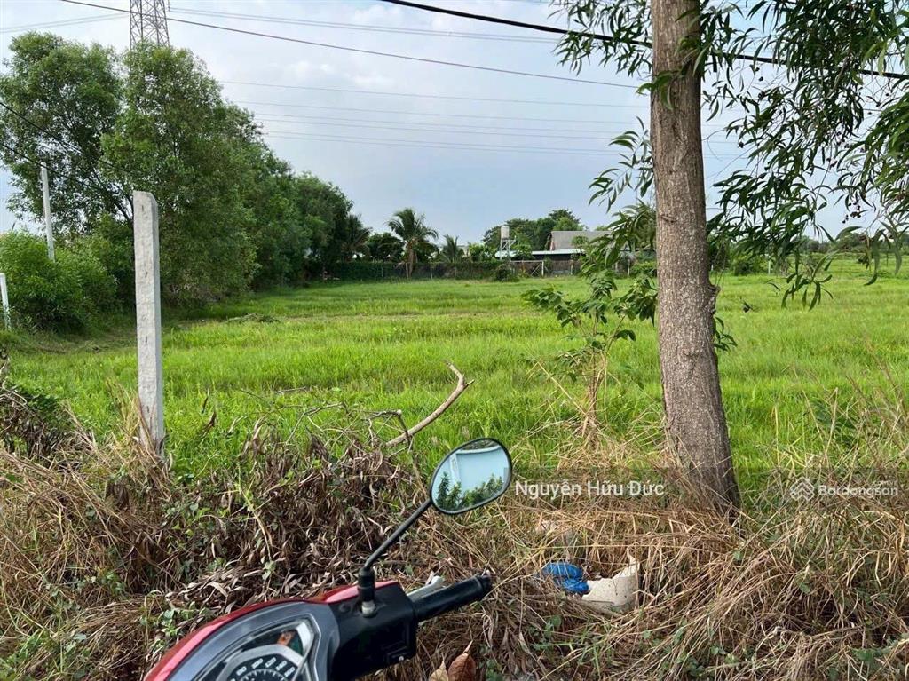 Bán đất siêu đẹp 72 x 41m (cây hàng năm khác) xã trung an, huyện củ chi, tphcm (6 tỷ)