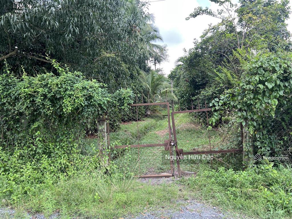Bán vườn cây ăn trái (6.119m2) xã trung an, huyện củ chi, tphcm (3,5tr/m2)