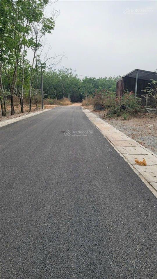 Chính chủ kẹt tiền bán gấp lô đất chánh phú hòa 39 giá rẻ
