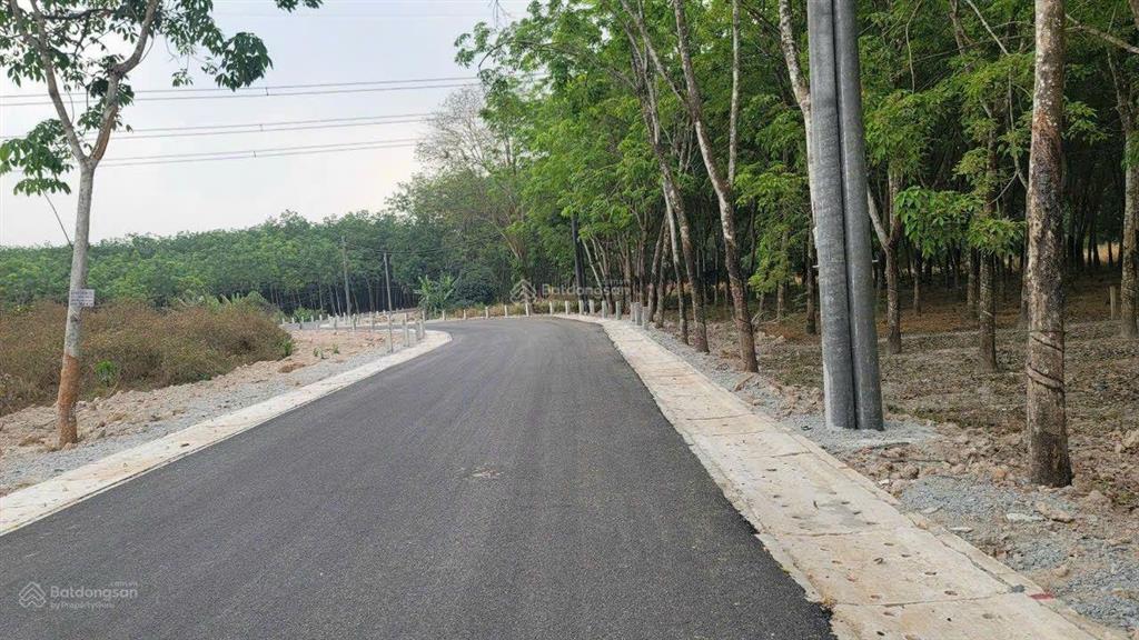Chính chủ kẹt tiền bán gấp lô đất chánh phú hòa 39 giá rẻ