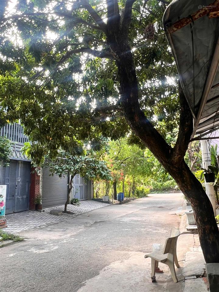 Siêu hiếm! 200m2 đất biệt thự bên sông  chỉ 15 tỷ  xây dựng cao  vị trí đẹp