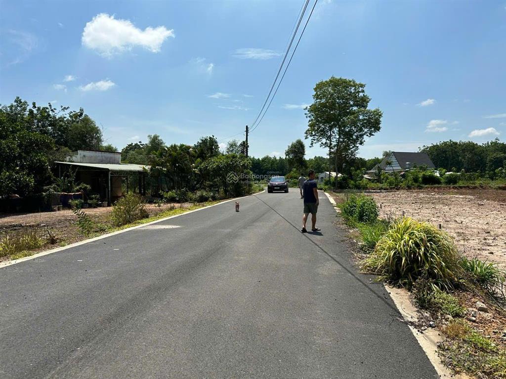 Bán 249m2 đất thổ cư long tân dầu tiếng, shr, chính chủ