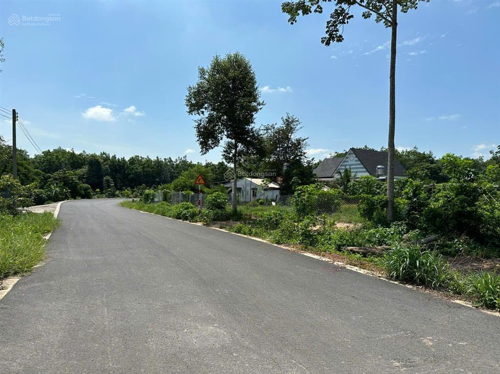 Bán 249m2 đất thổ cư long tân dầu tiếng, shr, chính chủ