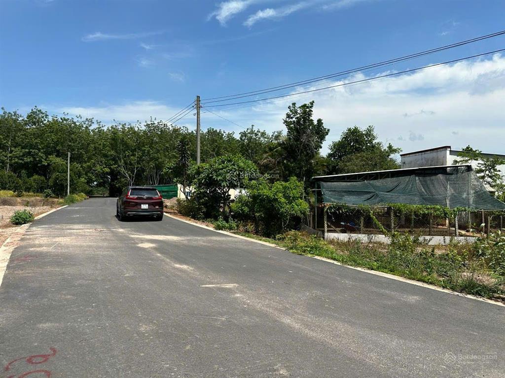 Bán 249m2 đất thổ cư long tân dầu tiếng, shr, chính chủ