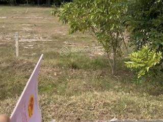 Bán đất mặt tiền đường đt795, xã tân thành, tân châu  vị trí đẹp, giá đầu tư!