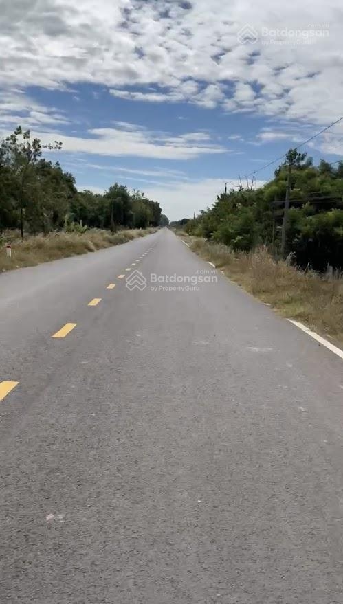 Đất mặt tiền đường đt795 đất đẹp, sổ riêng, giá chỉ 590tr