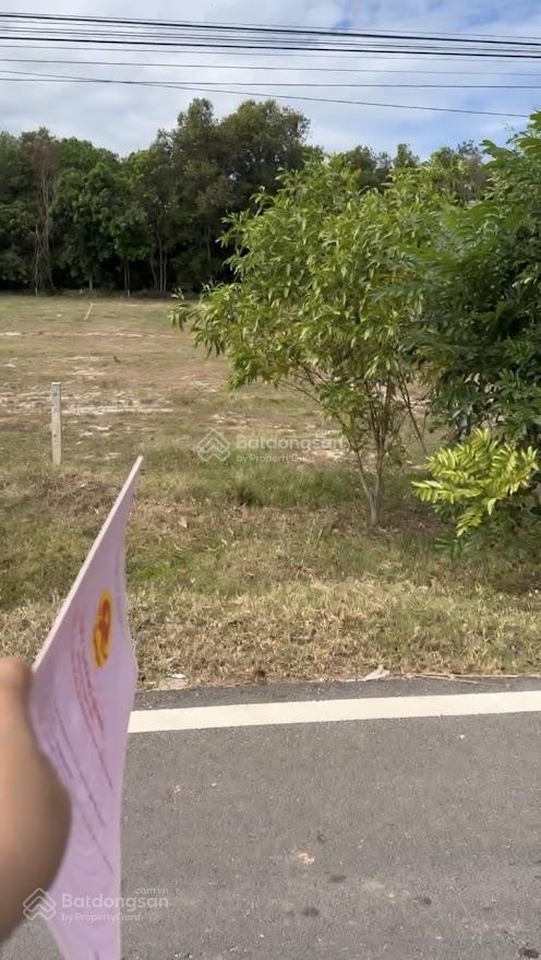 Đất tân châu, tây ninh mặt tiền lớn, giá mềm cho nhà đầu tư