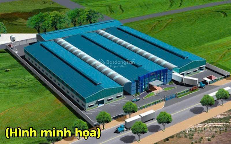 Tìm mặt bằng xây nhà xưởng? gần 1ha đất skc đang chờ chủ mới tại dầu tiếng bình dương