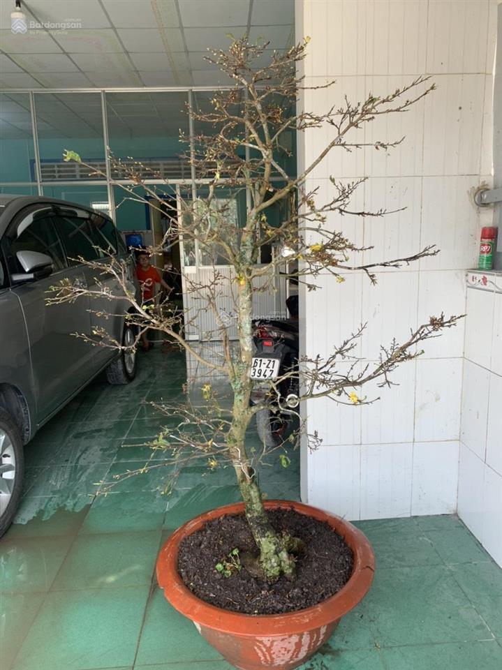 Bán nhà mt tl867  phước lập, tân phước, tiền giang