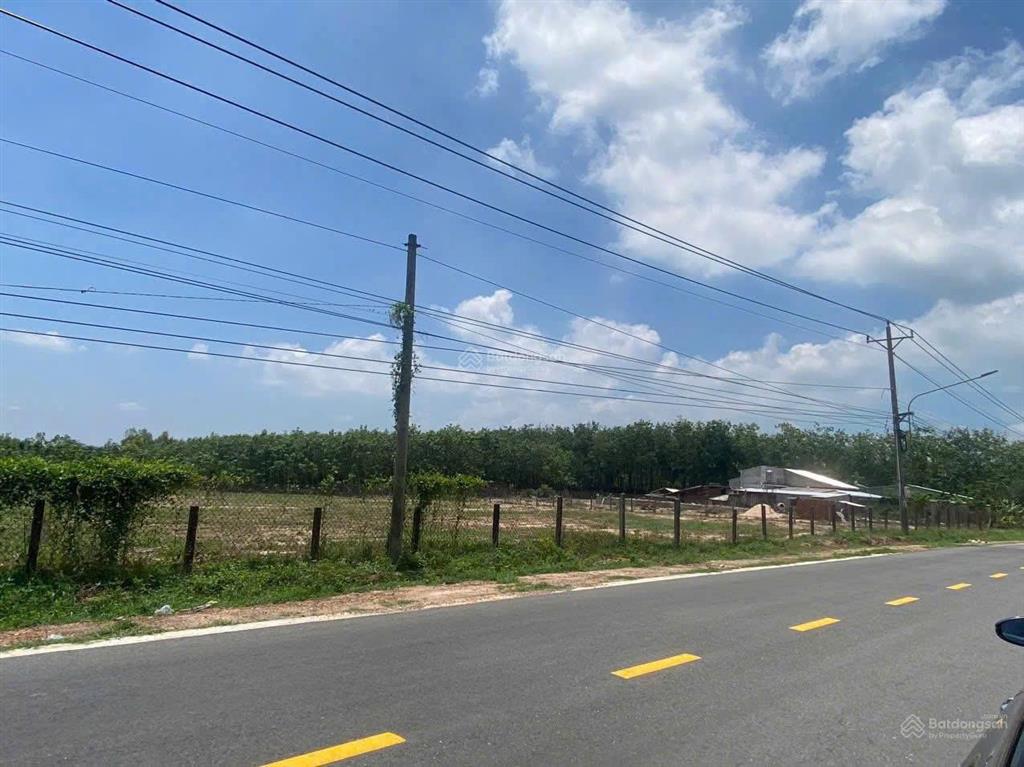 Cần bán 3000m2 đất mặt tiền nhựa 12m, giá bán 2 tỷ dầu tiếng bình dương