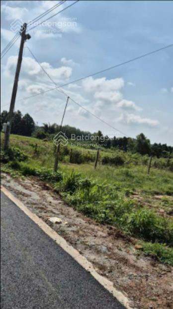 Cần bán 3000m2 đất mặt tiền nhựa 12m, giá bán 2 tỷ dầu tiếng bình dương
