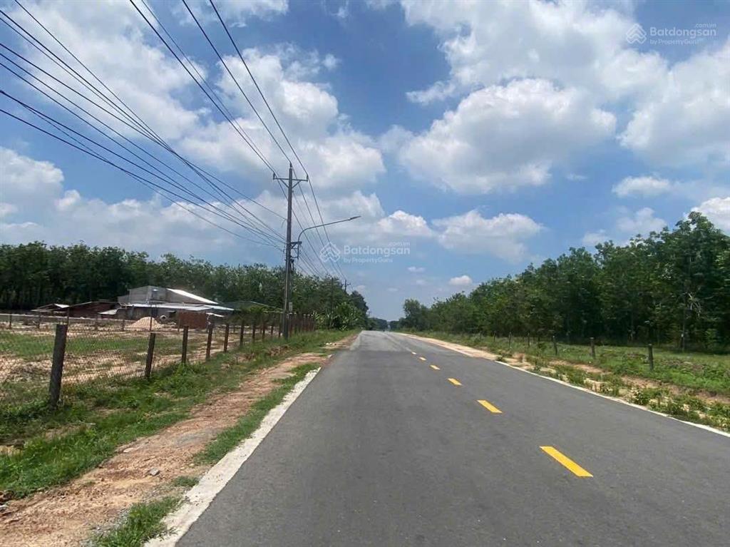 Cần bán 3000m2 đất mặt tiền nhựa 12m, giá bán 2 tỷ dầu tiếng bình dương