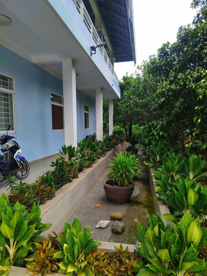 Bán nhà vườn an sơn 38 thuận an, mặt tiền 65m, 300m² thổ cư, giá tốt chỉ 10 triệu/m²