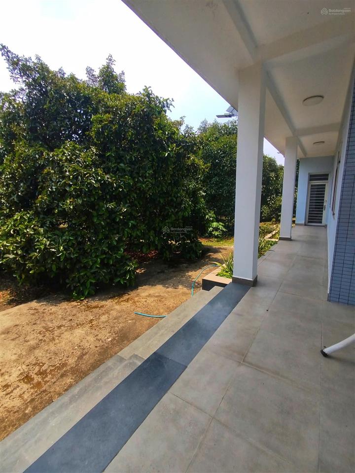 Bán nhà vườn an sơn 38 thuận an, mặt tiền 65m, 300m² thổ cư, giá tốt chỉ 10 triệu/m²