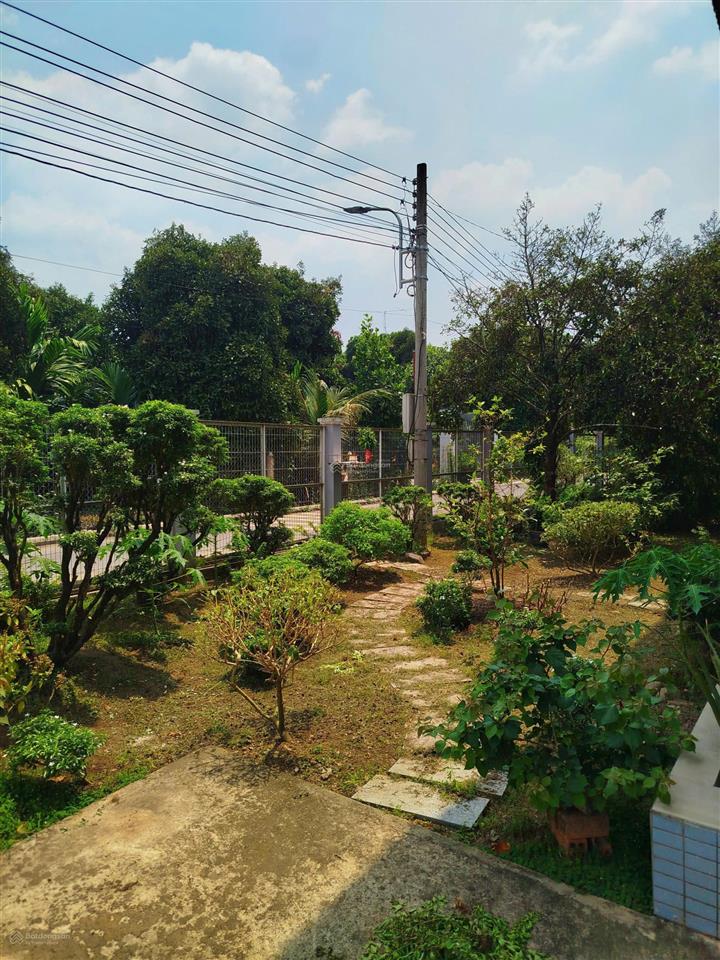 Bán nhà vườn an sơn 38 thuận an, mặt tiền 65m, 300m² thổ cư, giá tốt chỉ 10 triệu/m²