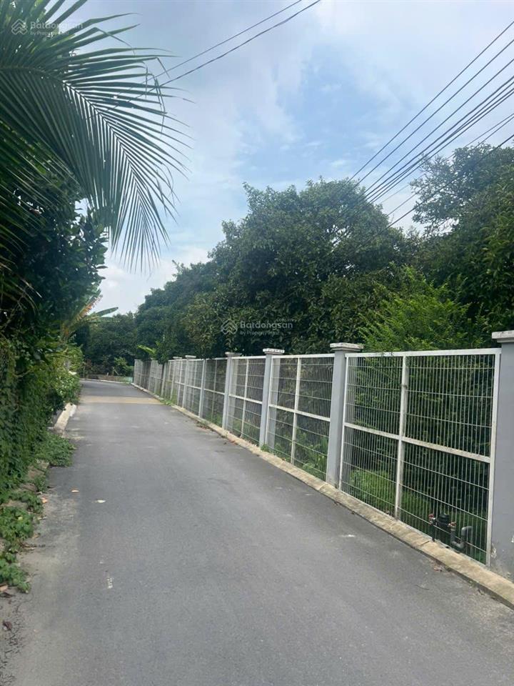 Bán nhà vườn an sơn 38 thuận an, mặt tiền 65m, 300m² thổ cư, giá tốt chỉ 10 triệu/m²