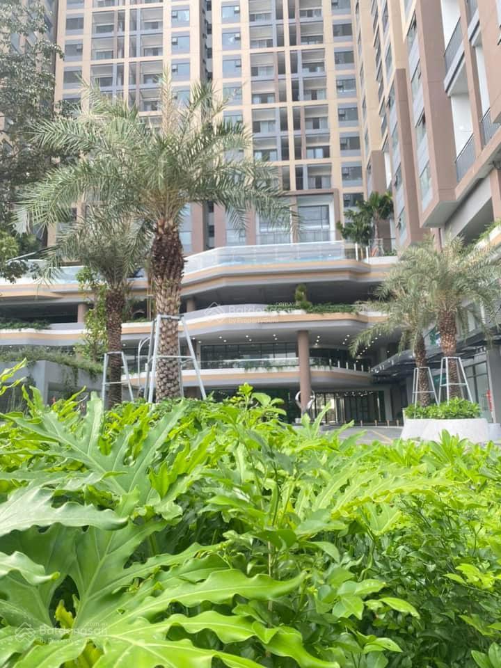 Cho thuê căn góc hiếm phú đông sky garden 72m2 chỉ 8,5 triệu/tháng
