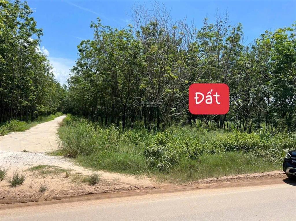 Bán 32000m2 đất đt 749b, minh hòa gần hồ dầu tiếng sẵn 300m2 thổ cư giá 27 tỷ có thương lượng