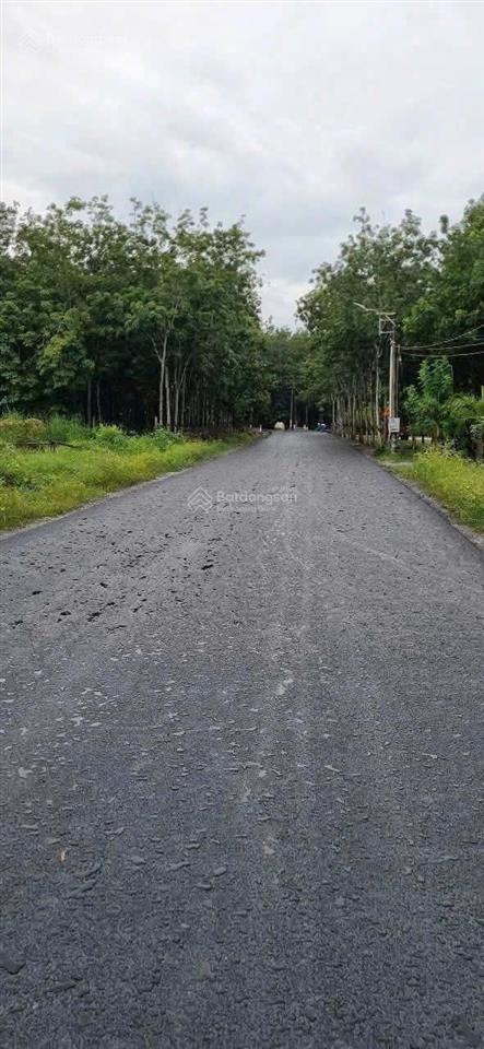 Bán lô đất skc 6000m2 tại long nguyên, bàu bàng cách trung tâm bến cát 5km giá tốt chỉ 3.4tr/m2