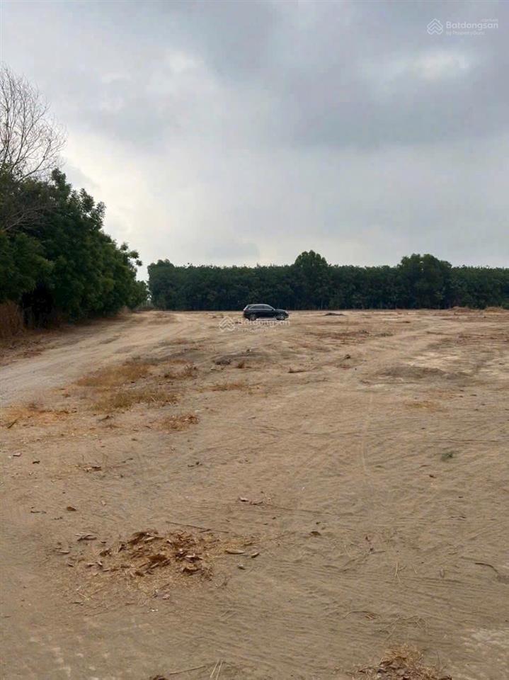 Bán 16.700m2 đất an tây, giáp kcn việt hương sẵn 300m thổ cư shr giá 29 tỷ tiềm năng đầu tư cao