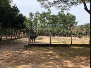 Mặt tiền đường đx 82, phường định hòa, vị trí đẹp, tiềm năng khai thác kinh doanh cao
